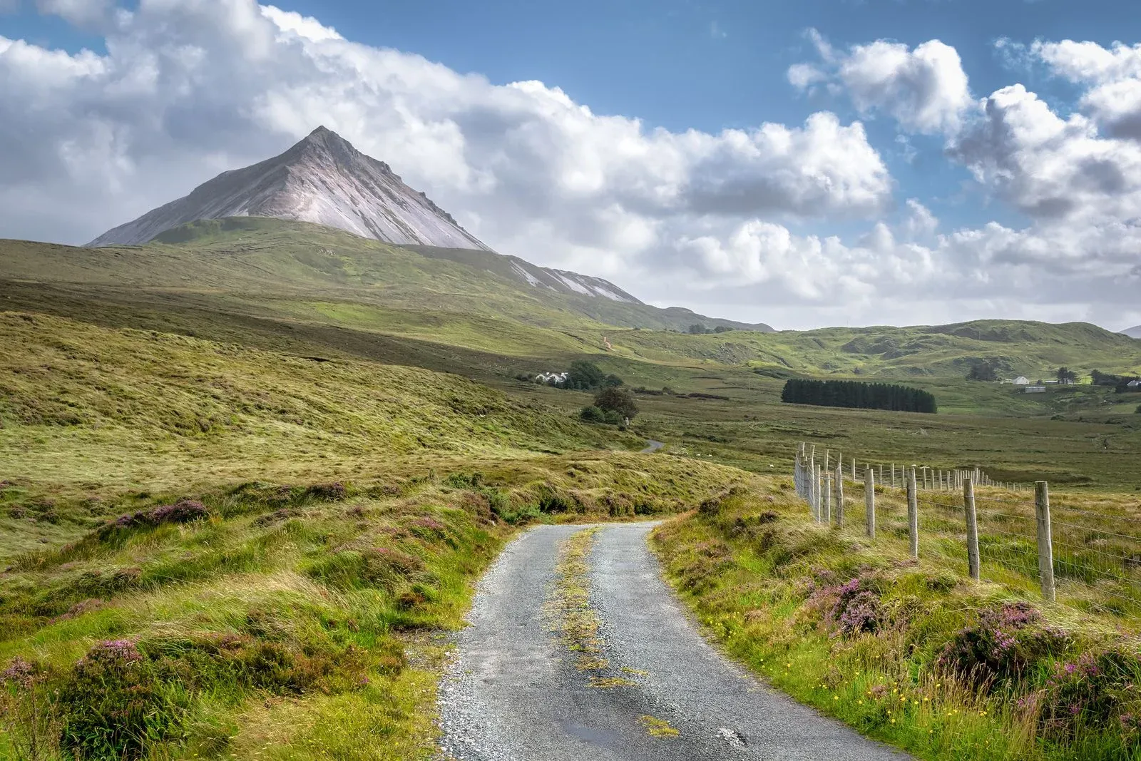 irish-country-road-leading-to-mountains-newway-car-hore.webp
